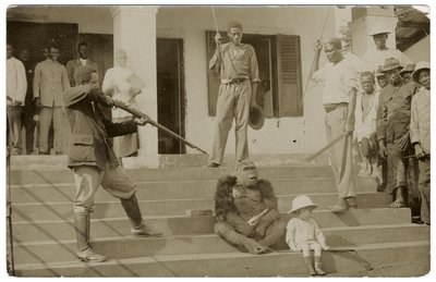 Un gorille apprivoisé, vers 1910 - Unbekannt