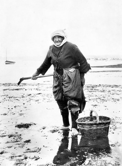 Royaume-Uni : Une vieille dame ramassant des coques sur le rivage. c1890 - Unbekannt