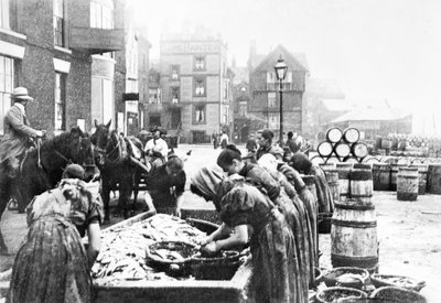 Royaume-Uni : Écailleuses de harengs écossaises au travail à Scarborough. Scarborough, vers 1890 - Unbekannt