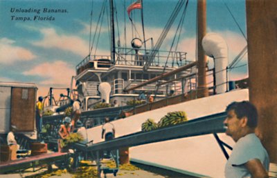 Déchargement de bananes, Tampa, Floride, vers 1940 - Unbekannt
