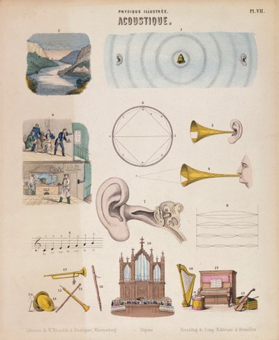 Divers instruments de musique et sons, Wurtemberg, vers 1850 - Unbekannt