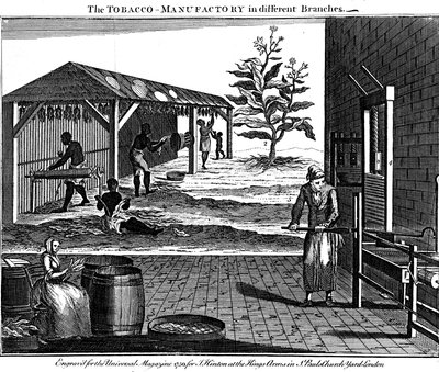 Diverses étapes de la production de tabac, Virginie, USA, 1750 - Unbekannt