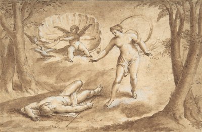Vénus découvrant la mort d