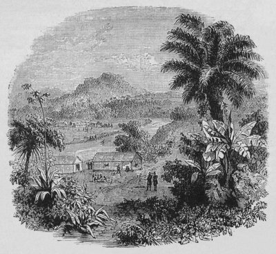 Vue à Cayenne, vers 1880 - Unbekannt