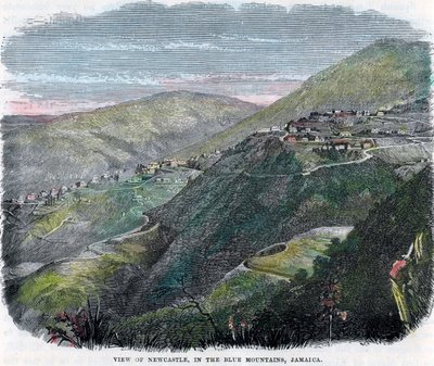 Vue de Newcastle, dans les Blue Mountains, Jamaïque, vers 1880 - Unbekannt
