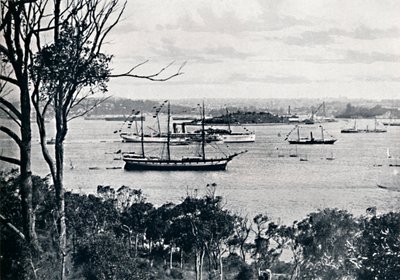 Vue du port de Sydney depuis North Shore, n° 1, vers 1900 - Unbekannt