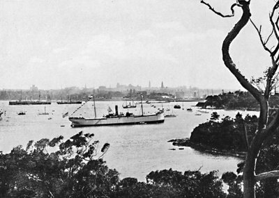 Vue du port de Sydney depuis North Shore, n° 2, vers 1900 - Unbekannt