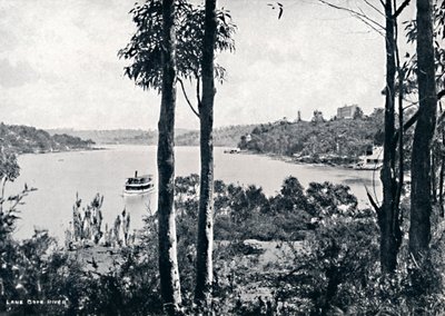 Vue sur la rivière Lane Cove - Unbekannt