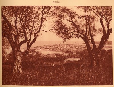 Vue à travers les oliviers vers Antibes, 1930 - Unbekannt