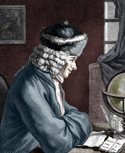 Voltaire, auteur français du 18e siècle, dramaturge, satiriste et homme de lettres - Unbekannt