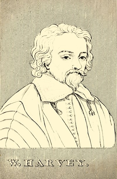 W. Harvey, 1578-1657, 1830 - Unbekannt