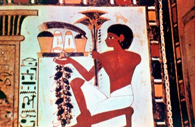 Peinture murale, détail, serviteur avec des offrandes, chapelle de Menna, Thèbes - Unbekannt