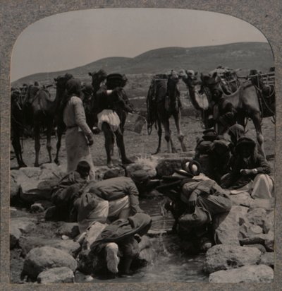 Abreuvement des chameaux au puits de Jacob, vers 1900 - Unbekannt