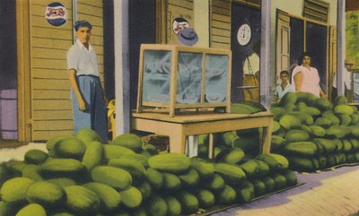 Pastèques à vendre, Trinidad, B.W.I., années 1940 - Unbekannt