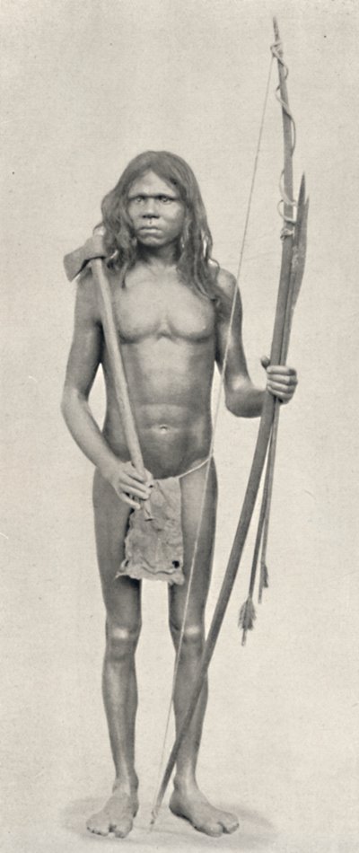 Wedda avec arc, flèches et hache, 1926 - Unbekannt