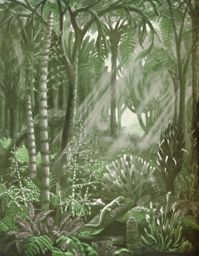 À quoi ressemblaient les puissantes forêts de charbon, 1935 - Unbekannt