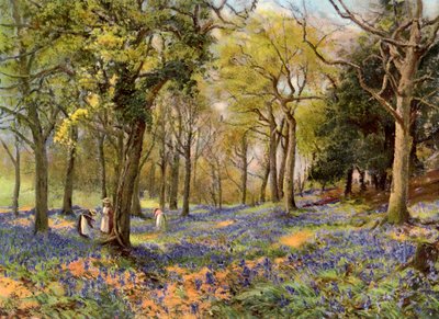 Jacinthes sauvages dans un bosquet du Surrey, 1906 - Unbekannt