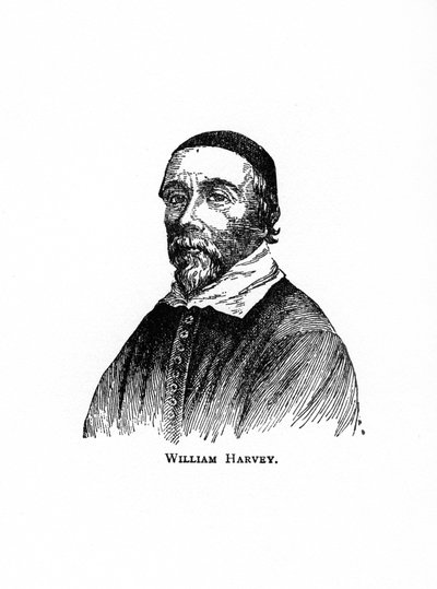William Harvey, médecin anglais du 17ème siècle, 20ème siècle - Unbekannt