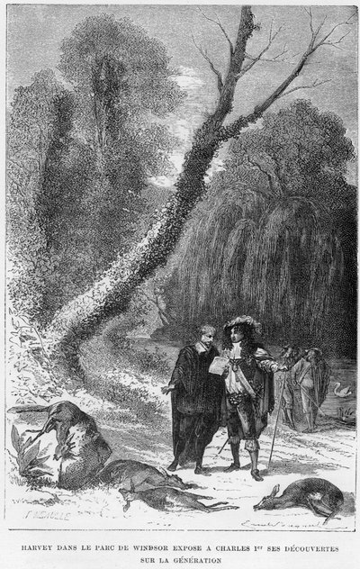 William Harvey, médecin anglais, dans le parc de Windsor, 17e siècle, 1870 - Unbekannt
