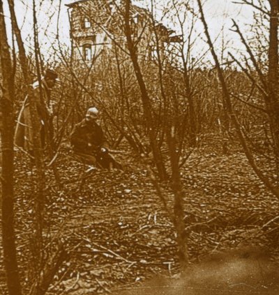 Bois, c1914-c1918 - Unbekannt