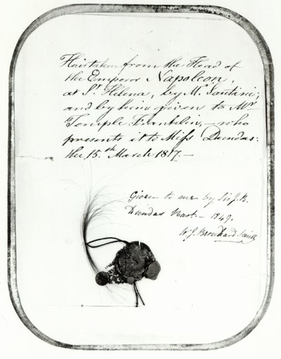 Cheveux coupés de la tête de l