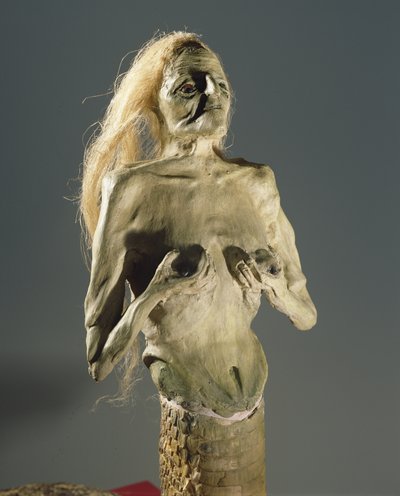 Créature mi-femme, mi-serpent, progéniture de Mélusine, 1900 - Unbekannt Unbekannt