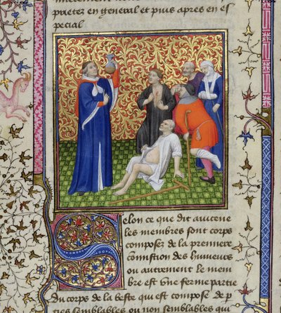 Ms.251 f.54v Un médecin avec ses patients, de Des Proprietez des Choses, c.1415 - Unbekannt Unbekannt