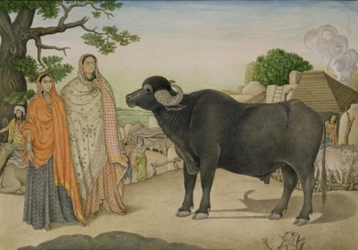 Deux villageoises et un buffle dans le village de Rania, c.1816, indien - Unbekannt Unbekannt