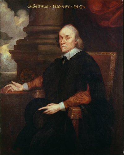 William Harvey (1578-1657) Médecin royal, 17ème siècle - Unbekannt Unbekannt