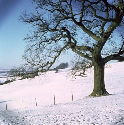 Paysage d