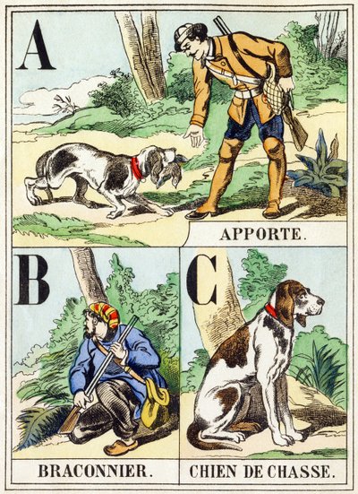 A B C : Apporte, Braconnier, Chien de chasse - L