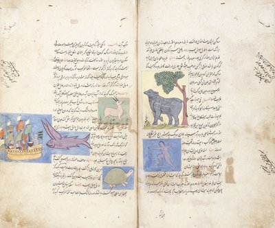 Une page du manuscrit persan "Aja