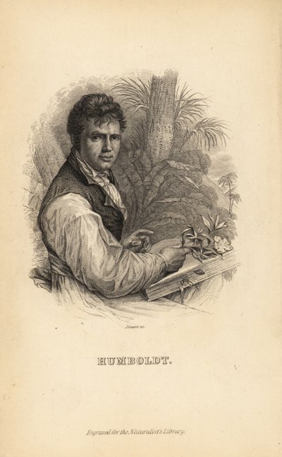 Alexander von Humboldt, explorateur, naturaliste et botaniste allemand - Unbekannt