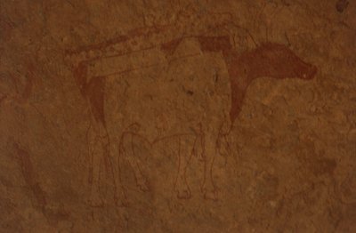 Algérie, désert du Sahara, Parc national du Tassili-n-Ajjer, site de Sefar, peinture rupestre représentant un taureau - William M. Timlin