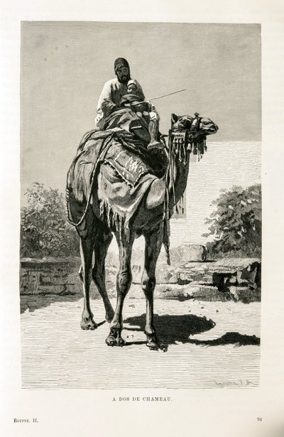 Un Égyptien et son enfant sur un chameau - Illustration de l