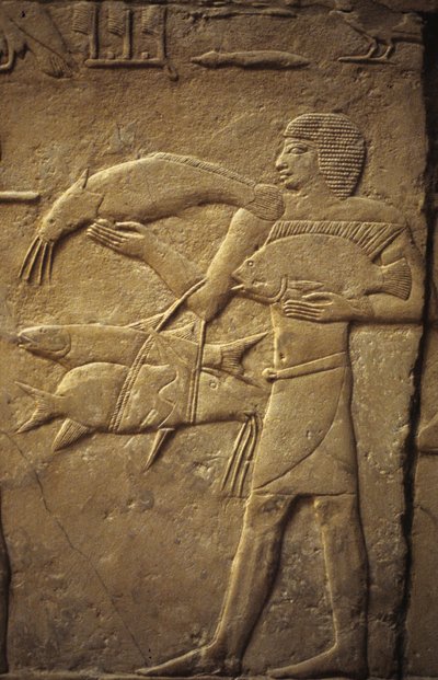 Saqqarah : nécropole de l