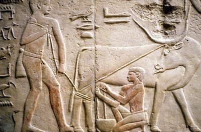 Saqqarah : nécropole de l