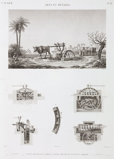 Irrigation par la force animale, Égypte, vers 1798 - Unbekannt
