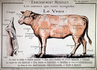 Les animaux que nous mangeons : le veau, vers 1910 - Unbekannter Künstler