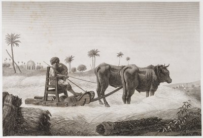 Machine à battre, Égypte, vers 1798 - Unbekannt