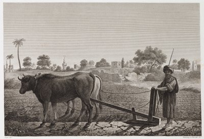 Labourage avec des bœufs, Égypte, vers 1798 - Unbekannt