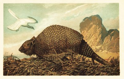 Archaeopteryx lithographica et Panochthus tuberculatus. 1908 - Unbekannter Künstler