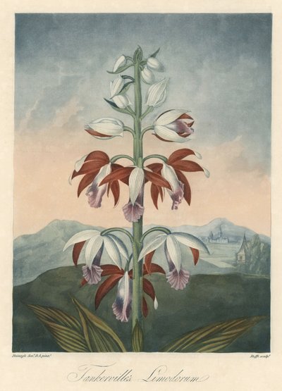 Variété d