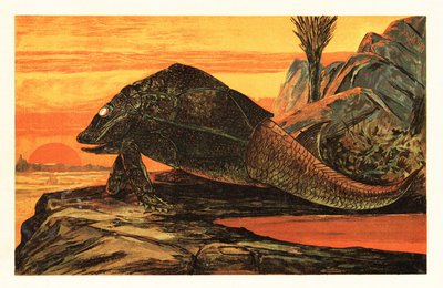 Asterolepis cornutus, espèce éteinte de poisson cuirassé. 1908 - Unbekannter Künstler