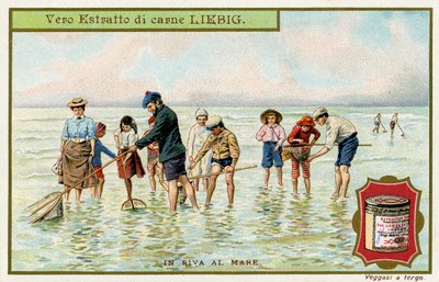 Au bord de la mer : Pêche aux filets - Unbekannter Künstler