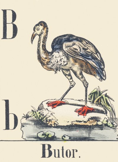 B : Butor, c1880-1900 - Unbekannter Künstler