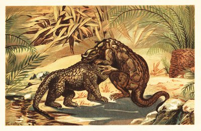 Bataille entre un Megalosaurus bucklandii et un Iguanodon bernissartensis - Unbekannter Künstler