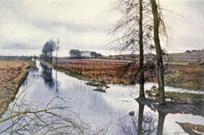 Bataille de la Marne, marais de Saint Gond - Unbekannter Künstler