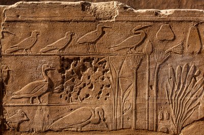 Jardin botanique de Thoutmôsis III avec reliefs représentant des plantes et des animaux, Temple de Karnak, Louxor, Thèbes, Égypte, Afrique - Unbekannter Künstler