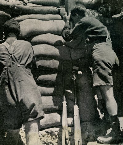 Troupes britanniques combattant en shorts kaki, péninsule de Gallipoli - Unbekannt
